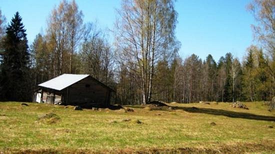 Kolin kansallispuisto