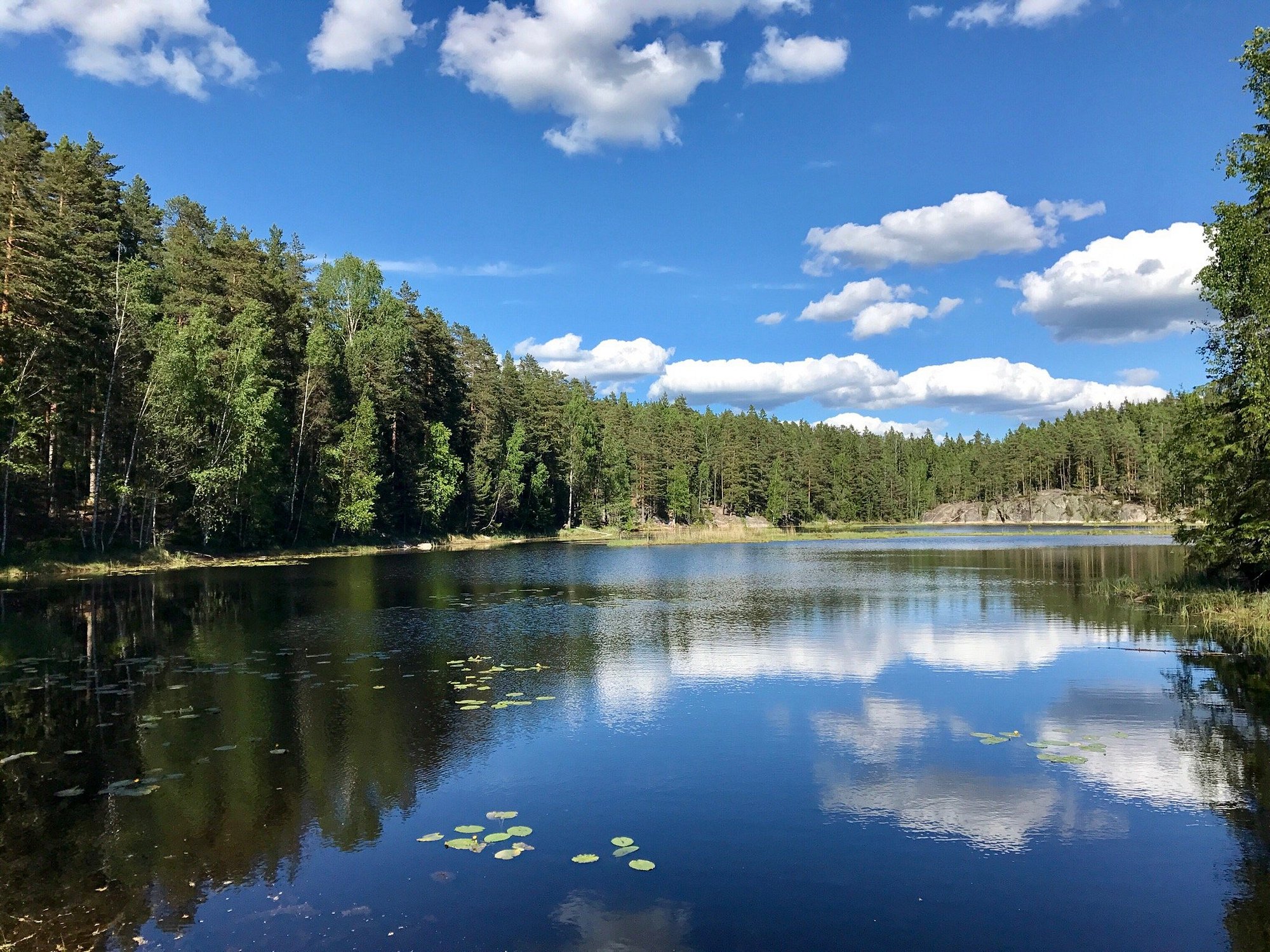 Nuuksion kansallispuisto